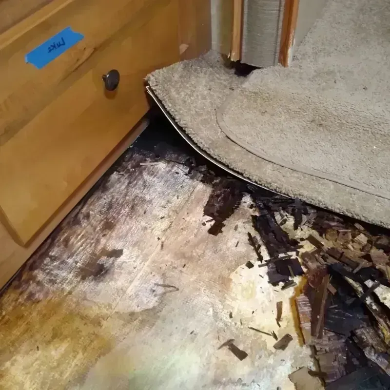 Best Wood Floor Water Damage Service in Buena Vista, MI